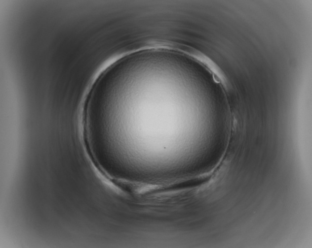 X0000113761143200909301104