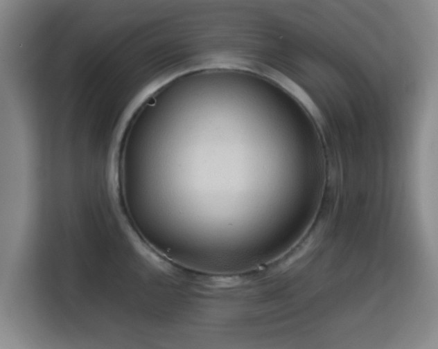 X0000113761144200909301104
