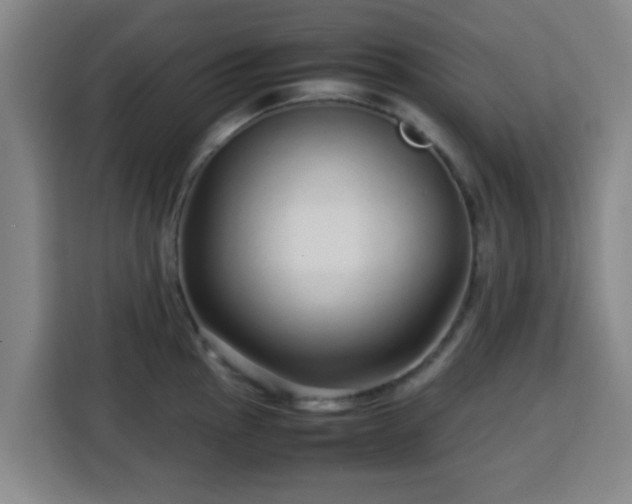 X0000113761145200909301104