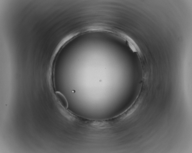 X0000113761146200909301104
