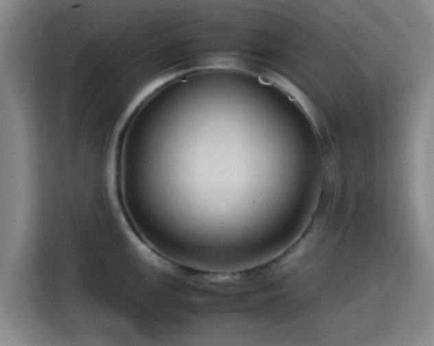 X0000113761147200909301104