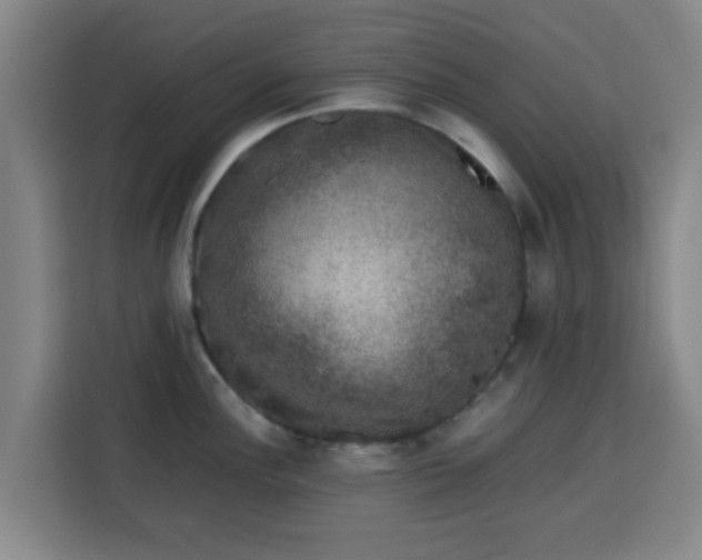 X0000113761148200909301104