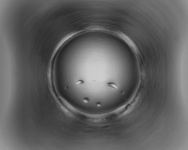 X0000113761149200909301104