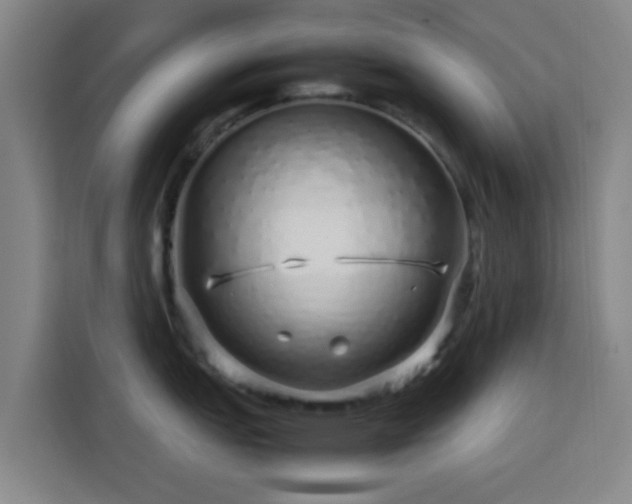 X0000113761151200909301104