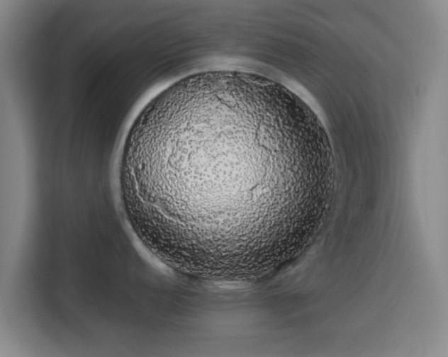 X0000113761152200909301104