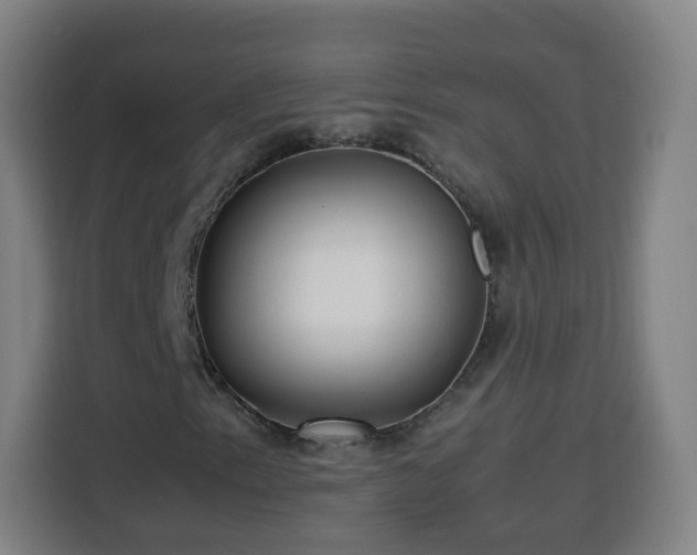 X0000113761153200909301104