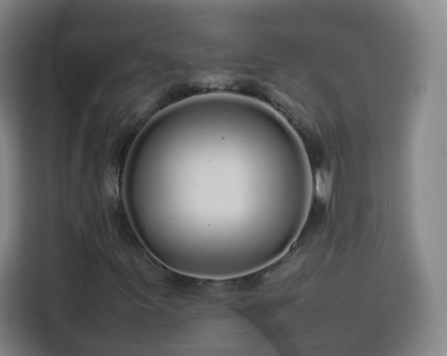 X0000113761155200909301104