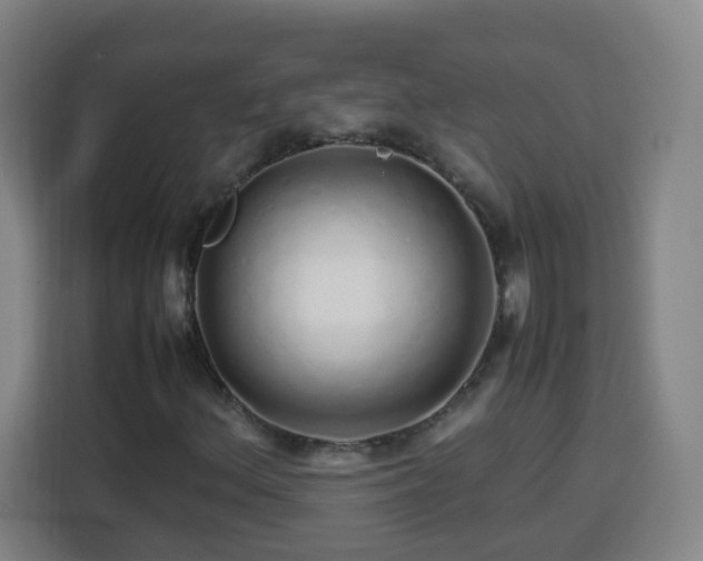 X0000113761156200909301104