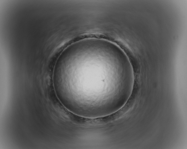 X0000113761159200909301103