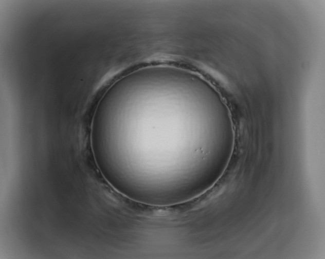 X0000113761160200909301103