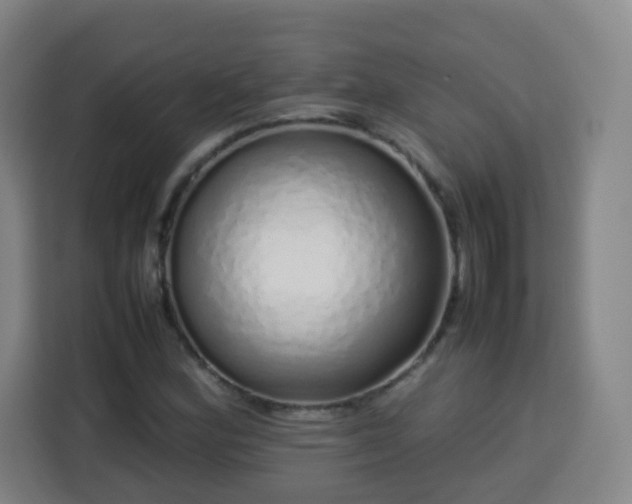 X0000113761164200909301103