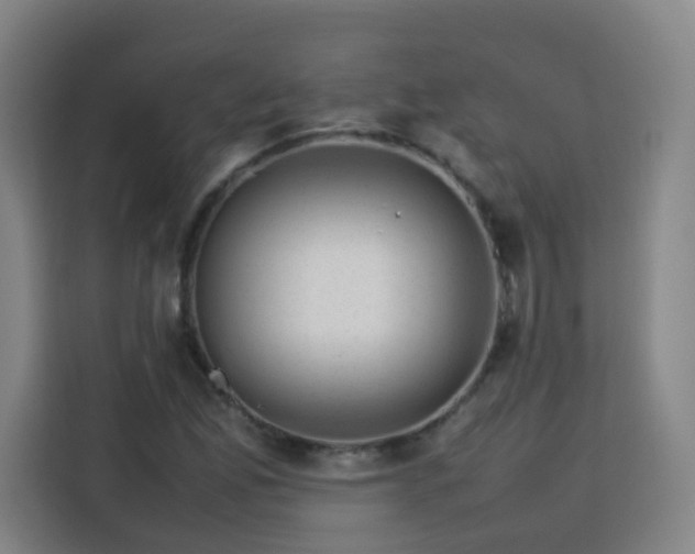 X0000113761165200909301103