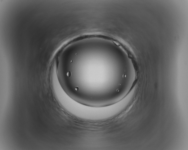 X0000113761167200909301103