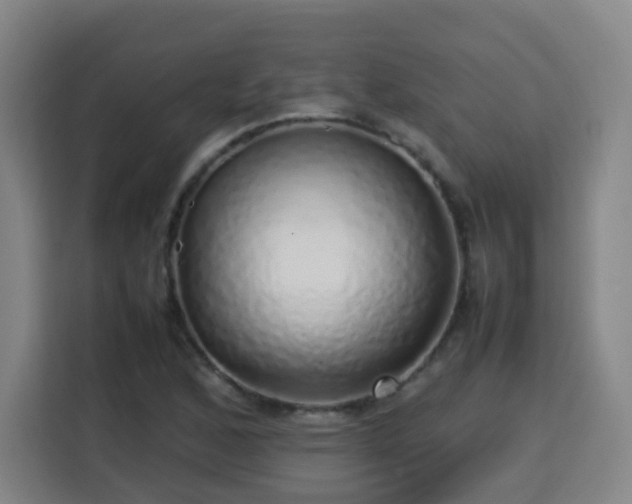 X0000113761168200909301103