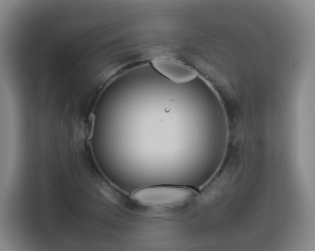 X0000113761169200909301103