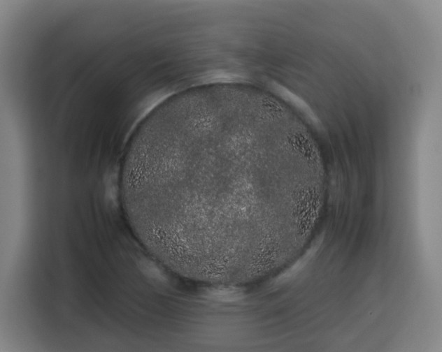 X0000113761170200909301103