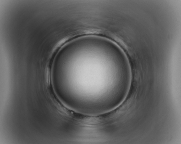 X0000113761171200909301103