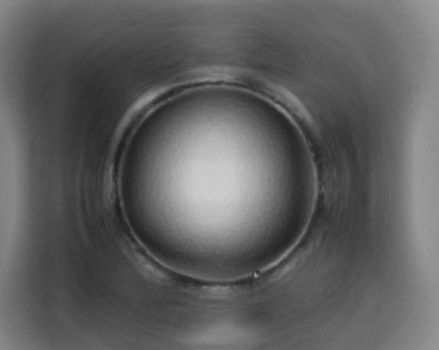 X0000113761172200909301103