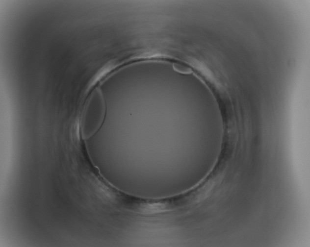 X0000113761173200909301103