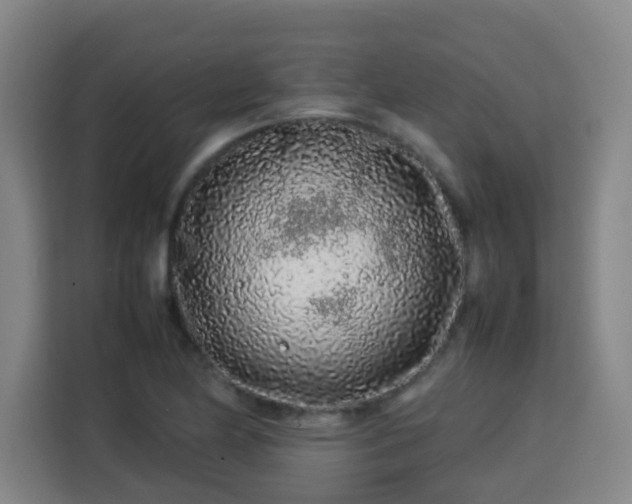 X0000113761174200909301103