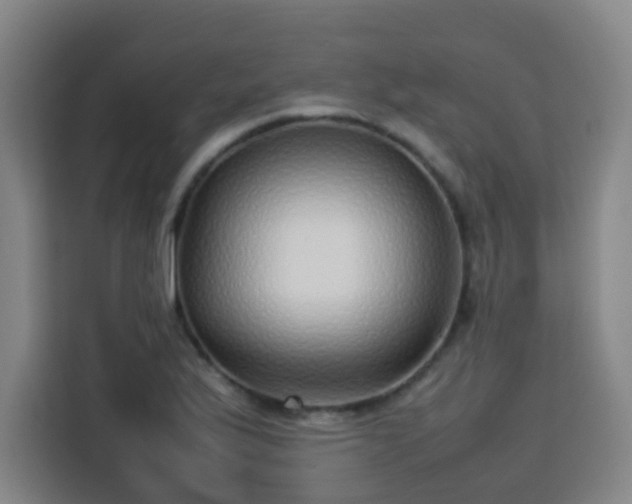 X0000113761175200909301103