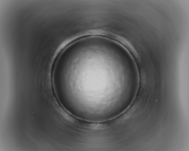 X0000113761176200909301103