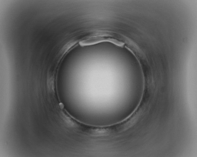 X0000113761177200909301103