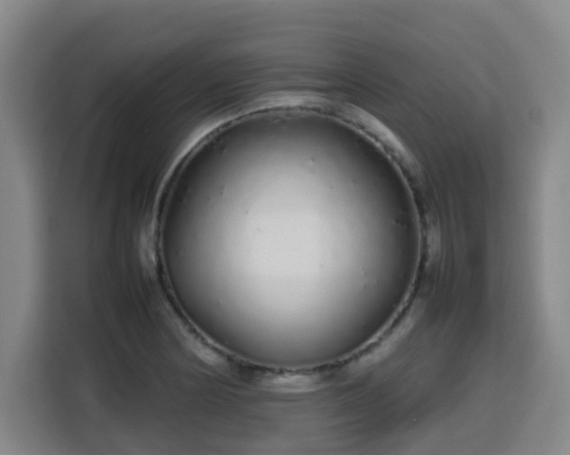 X0000113761178200909301103