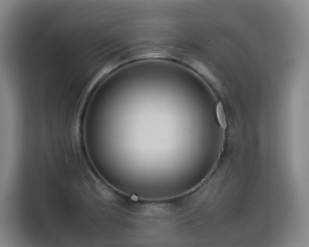 X0000113761181200909301103