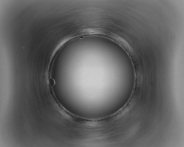 X0000113761182200909301103