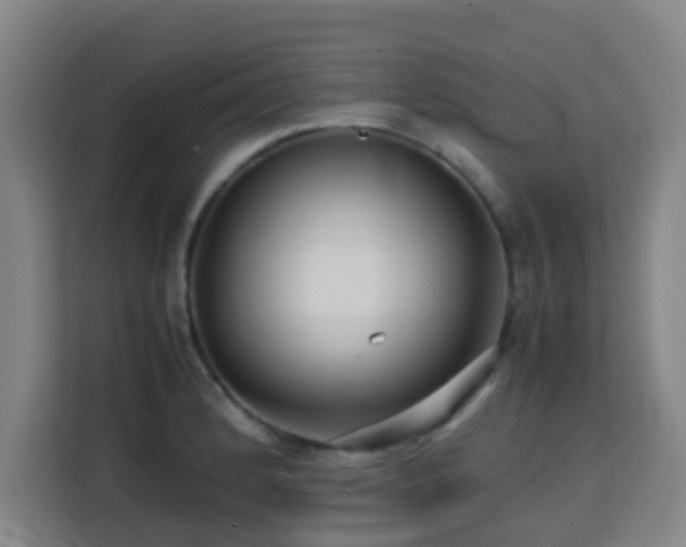 X0000113761184200909301103