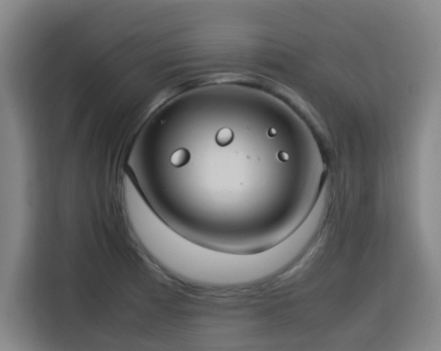 X0000113761185200909301103