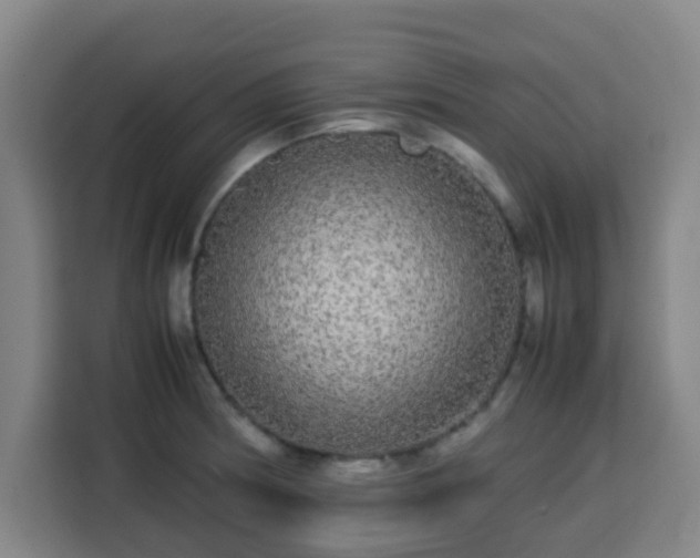 X0000113761186200909301103