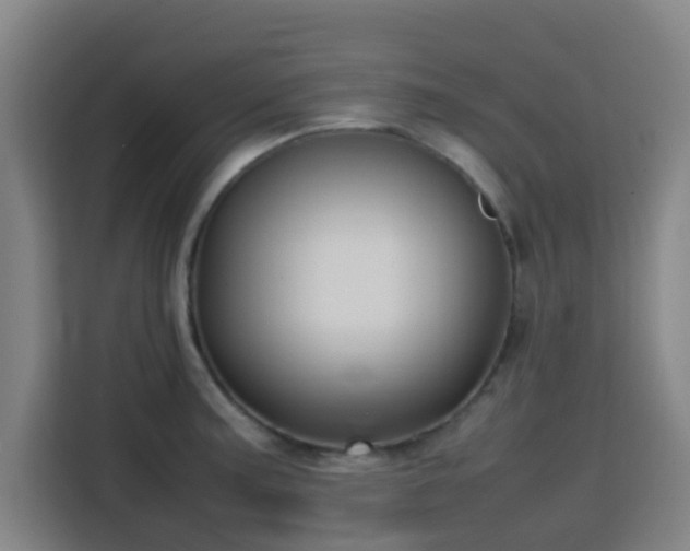 X0000113761187200909301103