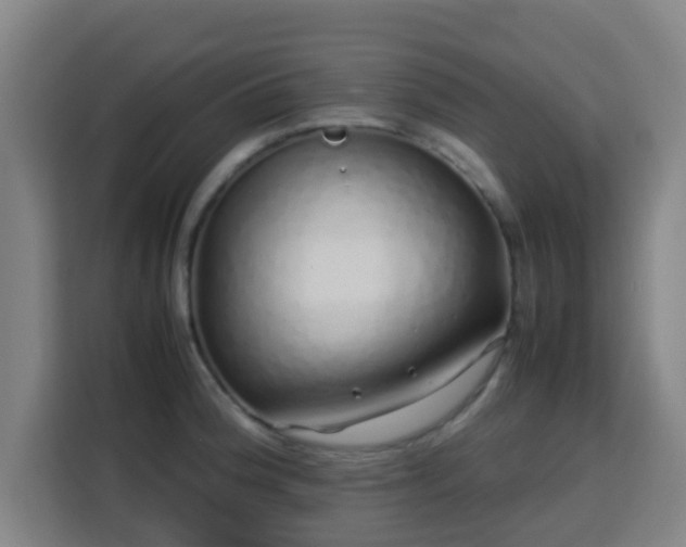 X0000113761188200909301103