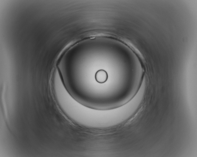 X0000113761189200909301103