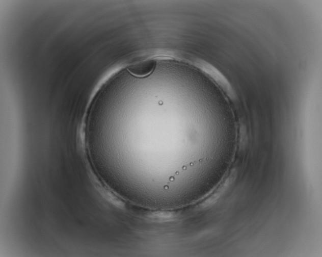 X0000113761190200909301103