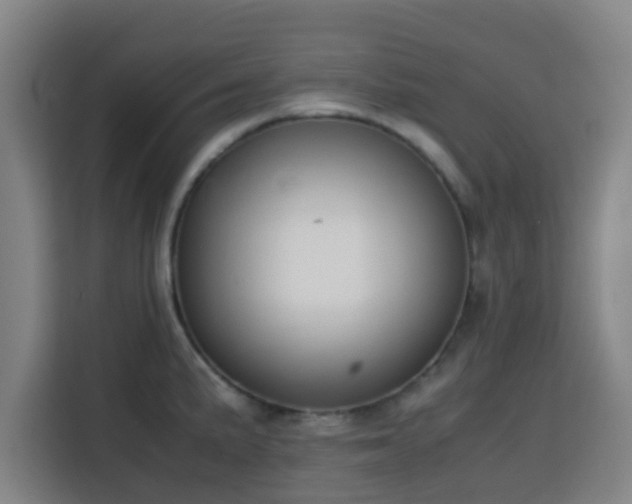 X0000113761191200909301103