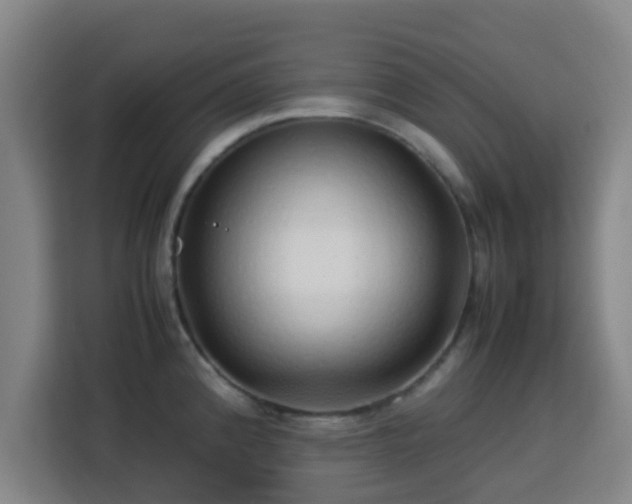 X0000113761192200909301103
