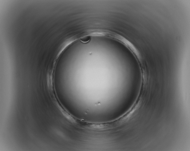 X0000113761194200909301103
