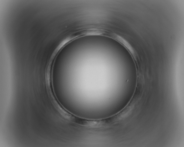 X0000113761195200909301103