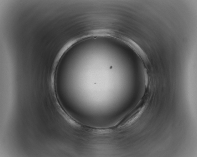 X0000113761196200909301103