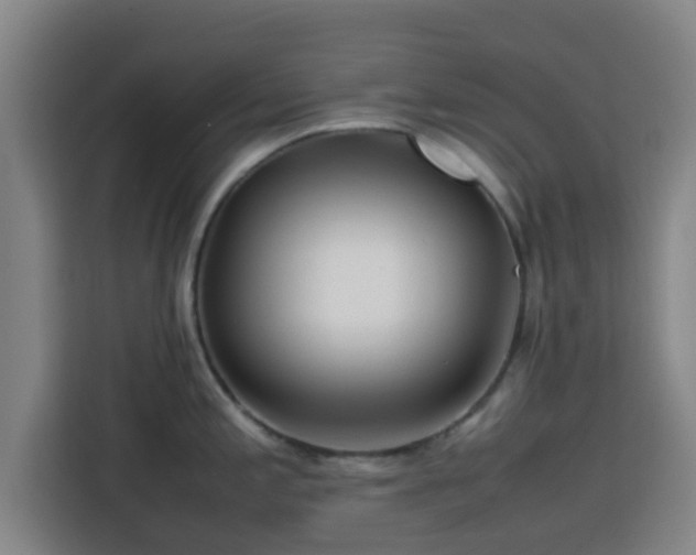 X0000113761197200909301103