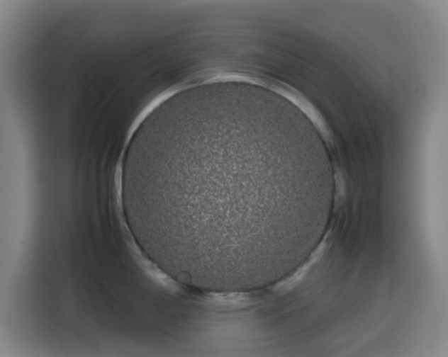 X0000113761198200909301103