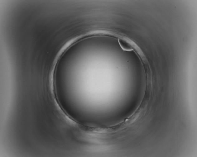 X0000113761199200909301103