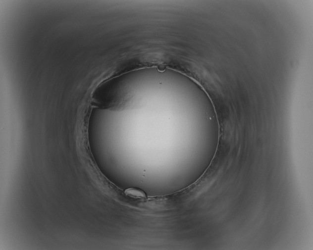 X0000113761201200909301102