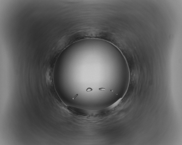 X0000113761202200909301102