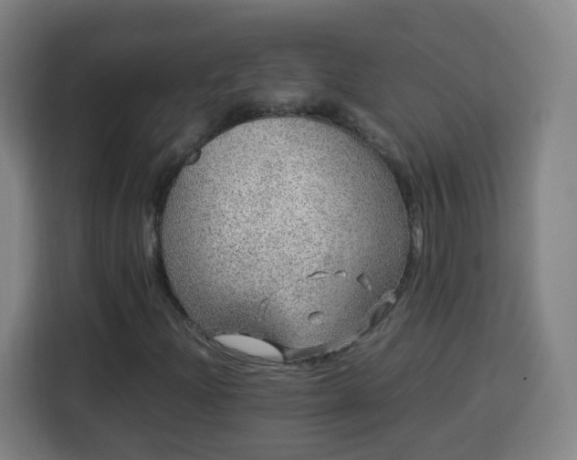 X0000113761204200909301102
