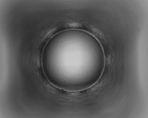 X0000113761205200909301102