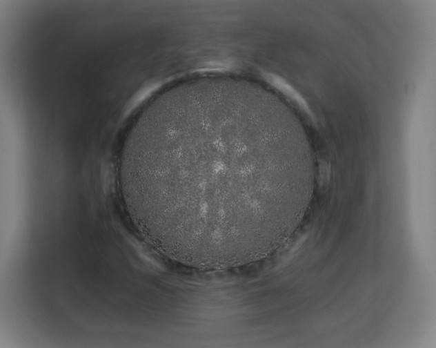 X0000113761208200909301102